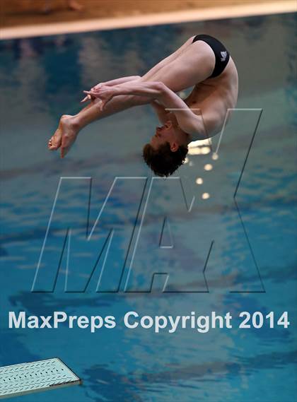 Thumbnail 2 in CHSAA 5A State Championships (Diving Prelim) photogallery.
