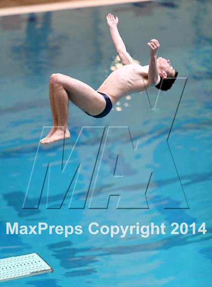 Thumbnail 1 in CHSAA 5A State Championships (Diving Prelim) photogallery.