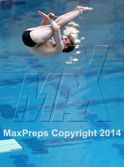 Thumbnail 1 in CHSAA 5A State Championships (Diving Prelim) photogallery.
