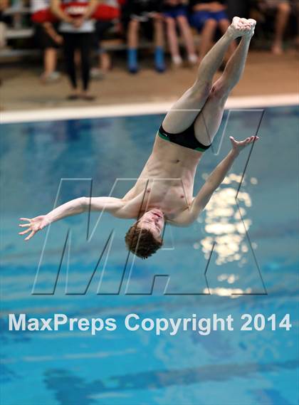 Thumbnail 3 in CHSAA 5A State Championships (Diving Prelim) photogallery.