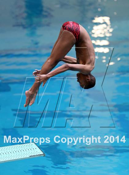Thumbnail 2 in CHSAA 5A State Championships (Diving Prelim) photogallery.