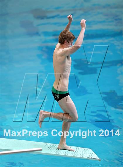 Thumbnail 2 in CHSAA 5A State Championships (Diving Prelim) photogallery.