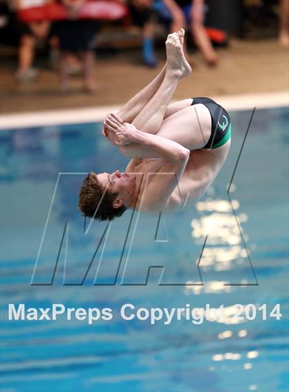 Thumbnail 1 in CHSAA 5A State Championships (Diving Prelim) photogallery.