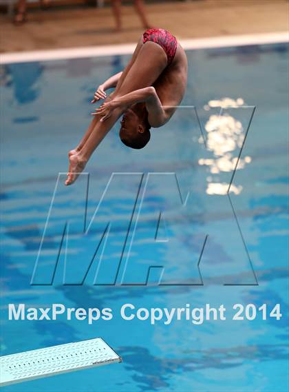 Thumbnail 2 in CHSAA 5A State Championships (Diving Prelim) photogallery.