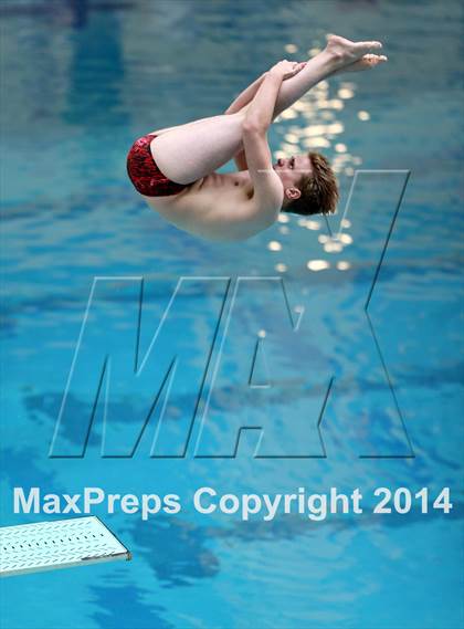 Thumbnail 2 in CHSAA 5A State Championships (Diving Prelim) photogallery.