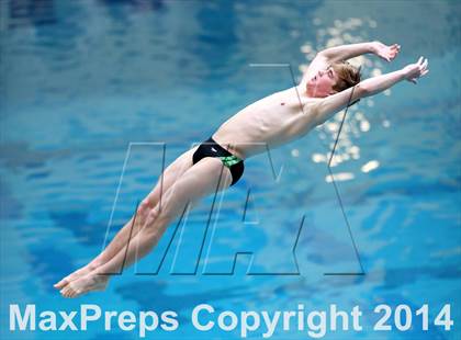 Thumbnail 1 in CHSAA 5A State Championships (Diving Prelim) photogallery.