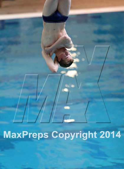 Thumbnail 3 in CHSAA 5A State Championships (Diving Prelim) photogallery.