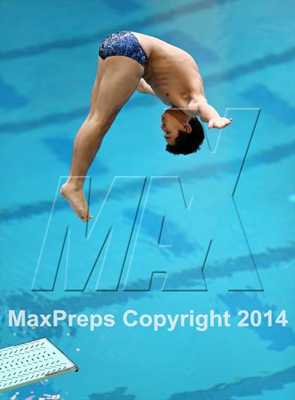 Thumbnail 1 in CHSAA 5A State Championships (Diving Prelim) photogallery.