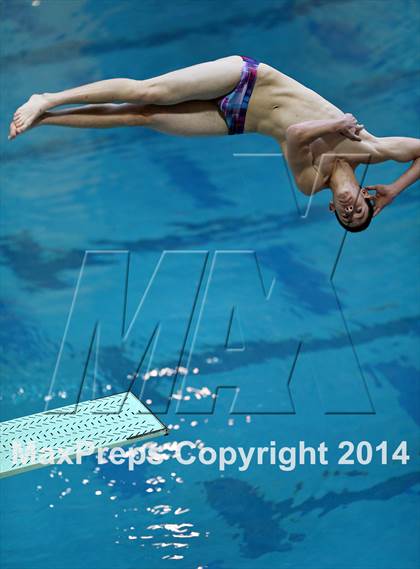 Thumbnail 1 in CHSAA 5A State Championships (Diving Prelim) photogallery.