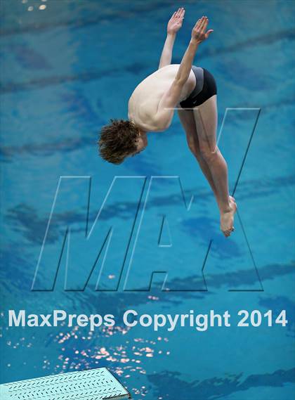 Thumbnail 3 in CHSAA 5A State Championships (Diving Prelim) photogallery.