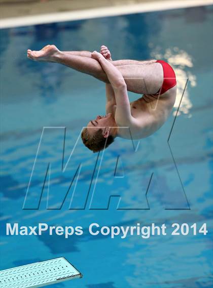 Thumbnail 2 in CHSAA 5A State Championships (Diving Prelim) photogallery.