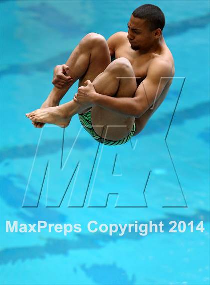 Thumbnail 1 in CHSAA 5A State Championships (Diving Prelim) photogallery.