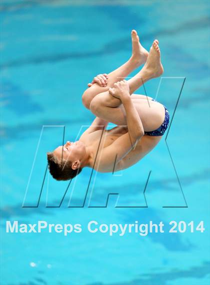 Thumbnail 2 in CHSAA 5A State Championships (Diving Prelim) photogallery.