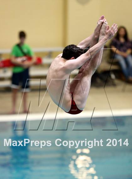 Thumbnail 2 in CHSAA 5A State Championships (Diving Prelim) photogallery.