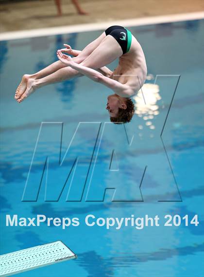 Thumbnail 3 in CHSAA 5A State Championships (Diving Prelim) photogallery.