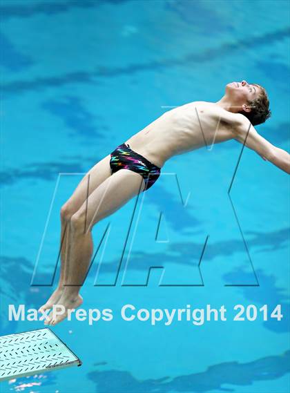 Thumbnail 2 in CHSAA 5A State Championships (Diving Prelim) photogallery.
