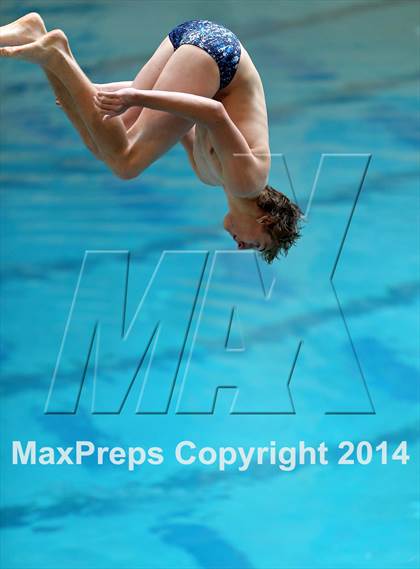 Thumbnail 3 in CHSAA 5A State Championships (Diving Prelim) photogallery.