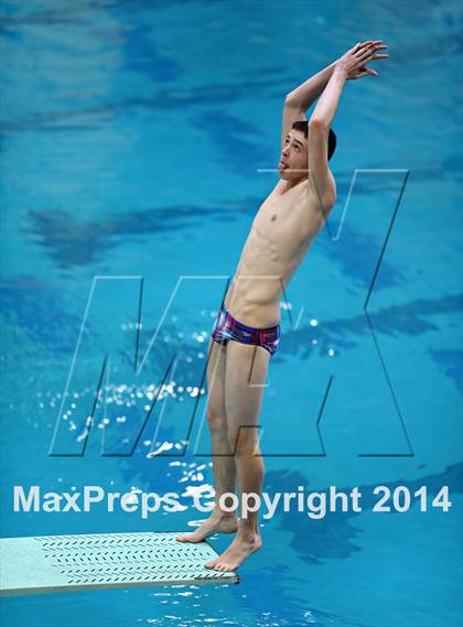 Thumbnail 1 in CHSAA 5A State Championships (Diving Prelim) photogallery.