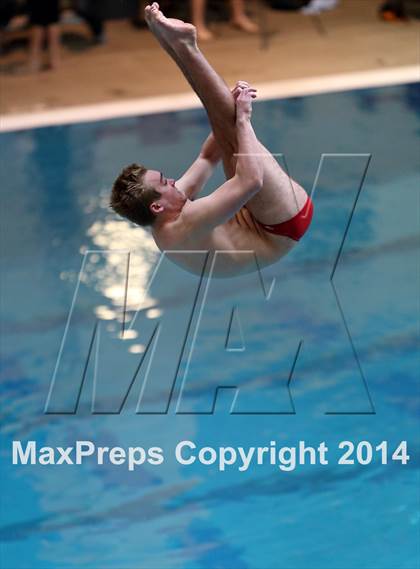 Thumbnail 3 in CHSAA 5A State Championships (Diving Prelim) photogallery.