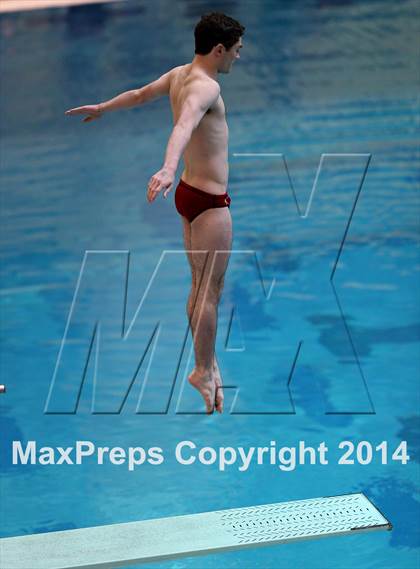 Thumbnail 2 in CHSAA 5A State Championships (Diving Prelim) photogallery.