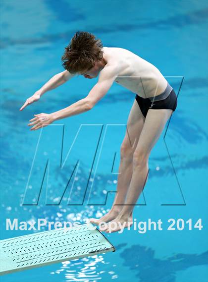 Thumbnail 1 in CHSAA 5A State Championships (Diving Prelim) photogallery.