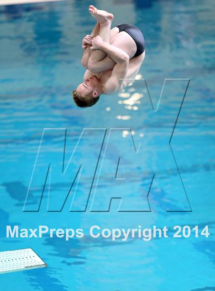Thumbnail 3 in CHSAA 5A State Championships (Diving Prelim) photogallery.