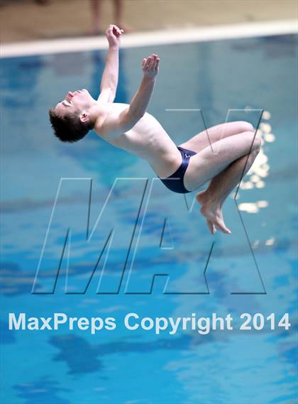 Thumbnail 1 in CHSAA 5A State Championships (Diving Prelim) photogallery.