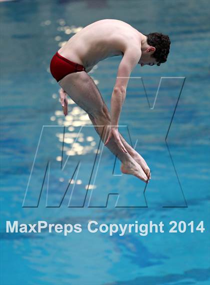 Thumbnail 3 in CHSAA 5A State Championships (Diving Prelim) photogallery.