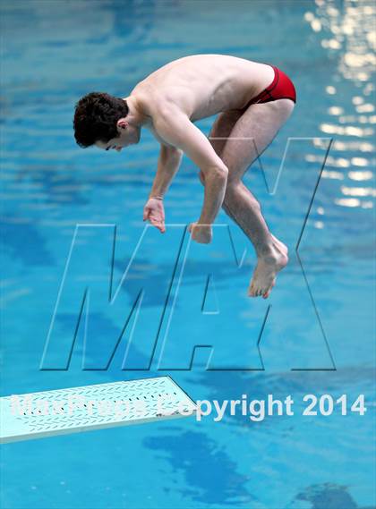 Thumbnail 3 in CHSAA 5A State Championships (Diving Prelim) photogallery.