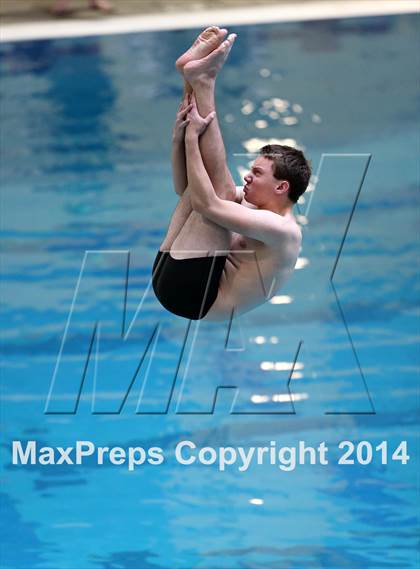 Thumbnail 3 in CHSAA 5A State Championships (Diving Prelim) photogallery.