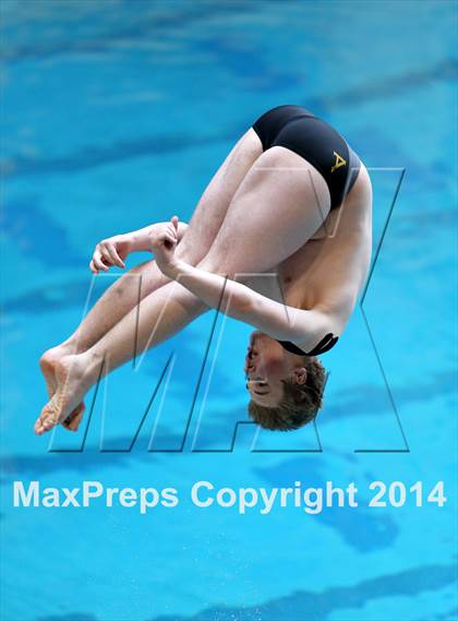 Thumbnail 1 in CHSAA 5A State Championships (Diving Prelim) photogallery.