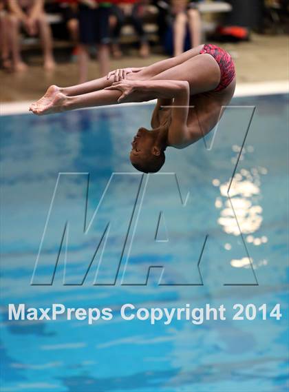 Thumbnail 2 in CHSAA 5A State Championships (Diving Prelim) photogallery.