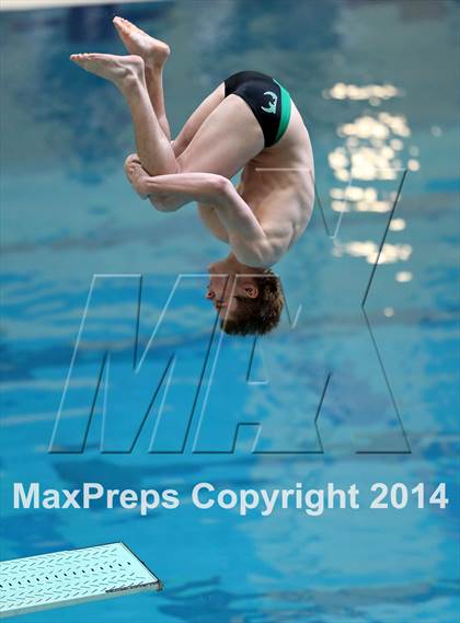 Thumbnail 2 in CHSAA 5A State Championships (Diving Prelim) photogallery.
