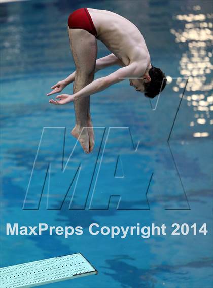 Thumbnail 3 in CHSAA 5A State Championships (Diving Prelim) photogallery.