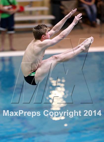 Thumbnail 1 in CHSAA 5A State Championships (Diving Prelim) photogallery.