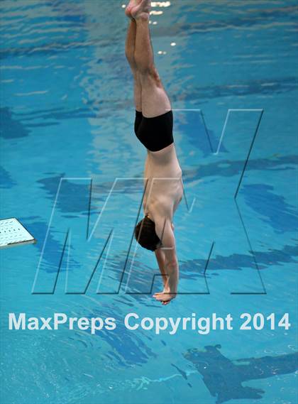 Thumbnail 3 in CHSAA 5A State Championships (Diving Prelim) photogallery.