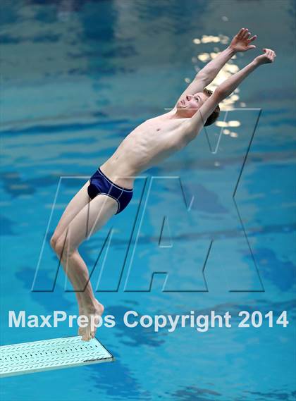 Thumbnail 3 in CHSAA 5A State Championships (Diving Prelim) photogallery.