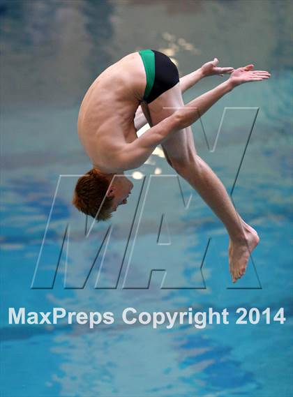 Thumbnail 1 in CHSAA 5A State Championships (Diving Prelim) photogallery.