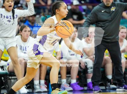 Thumbnail 1 in Holy Family vs Delta (CHSAA 4A Great 8) photogallery.