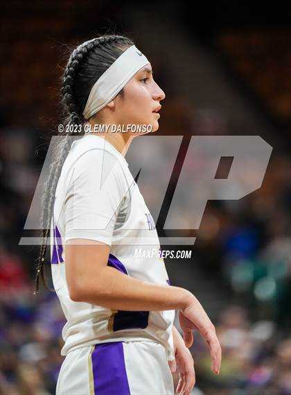 Thumbnail 1 in Holy Family vs Delta (CHSAA 4A Great 8) photogallery.