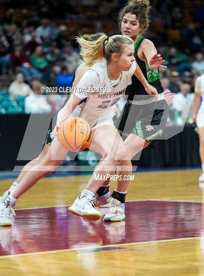Thumbnail 1 in Holy Family vs Delta (CHSAA 4A Great 8) photogallery.
