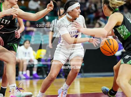 Thumbnail 2 in Holy Family vs Delta (CHSAA 4A Great 8) photogallery.