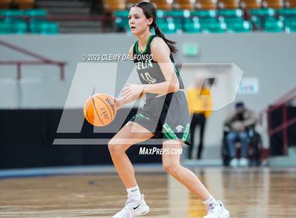 Thumbnail 2 in Holy Family vs Delta (CHSAA 4A Great 8) photogallery.