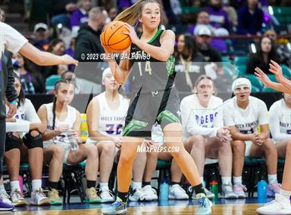 Thumbnail 1 in Holy Family vs Delta (CHSAA 4A Great 8) photogallery.