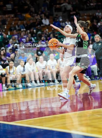 Thumbnail 1 in Holy Family vs Delta (CHSAA 4A Great 8) photogallery.