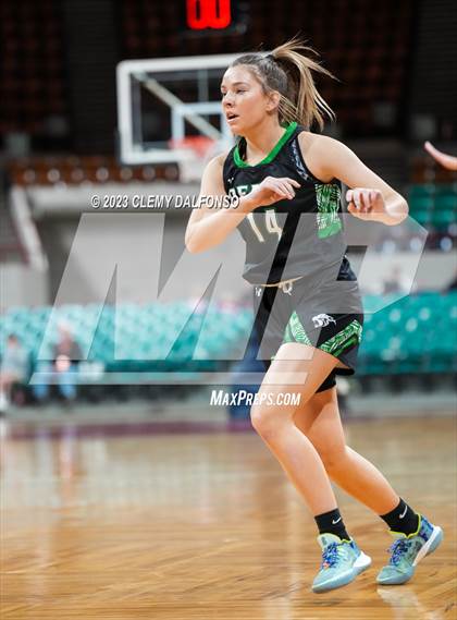 Thumbnail 3 in Holy Family vs Delta (CHSAA 4A Great 8) photogallery.