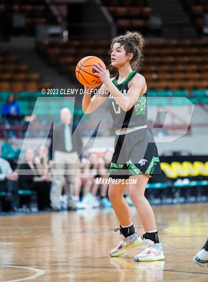 Thumbnail 2 in Holy Family vs Delta (CHSAA 4A Great 8) photogallery.