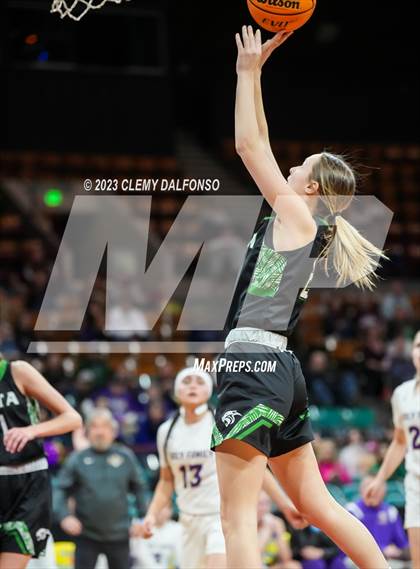 Thumbnail 1 in Holy Family vs Delta (CHSAA 4A Great 8) photogallery.