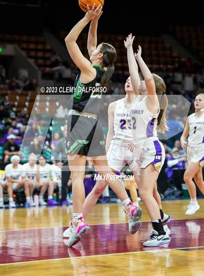 Thumbnail 1 in Holy Family vs Delta (CHSAA 4A Great 8) photogallery.