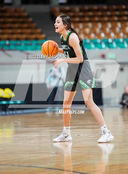 Thumbnail 3 in Holy Family vs Delta (CHSAA 4A Great 8) photogallery.